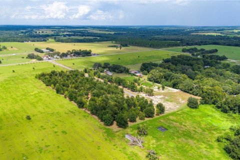 Land in Dade City, Florida № 1352890 - photo 3