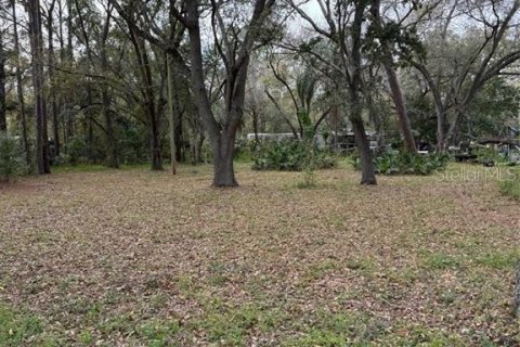 Купить земельный участок в Гудзон, Флорида № 1018858 - фото 9