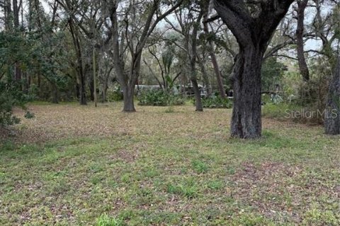 Купить земельный участок в Гудзон, Флорида № 1018858 - фото 6