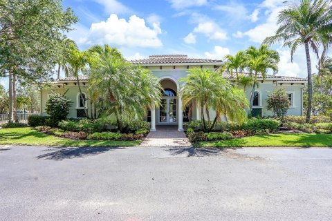 Villa ou maison à vendre à Palm Beach Gardens, Floride: 6 chambres, 635.92 m2 № 1075629 - photo 29