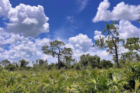 Terreno en venta en Punta Gorda, Florida № 1263744 - foto 7