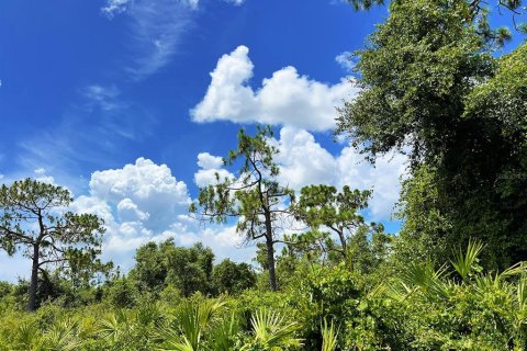 Terrain à vendre à Punta Gorda, Floride № 1263744 - photo 6