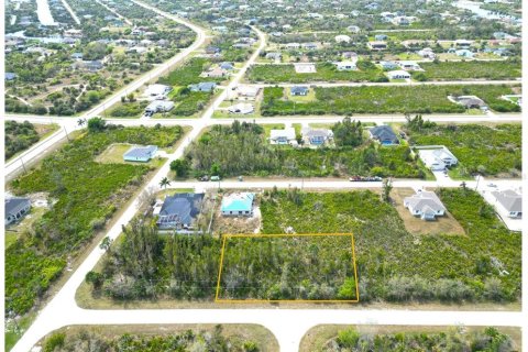 Terreno en venta en Port Charlotte, Florida № 1042163 - foto 5