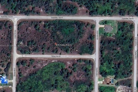 Land in Lehigh Acres, Florida № 1159163 - photo 1