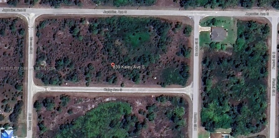 Terreno en Lehigh Acres, Florida № 1159163