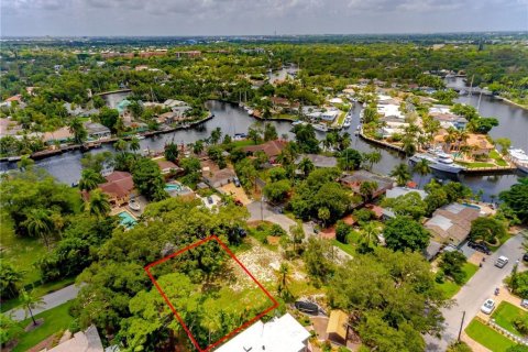 Купить земельный участок в Форт-Лодердейл, Флорида № 1054652 - фото 14
