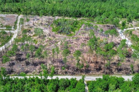 Terrain à vendre à DeLand, Floride № 1166514 - photo 6