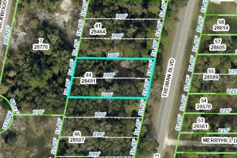 Land in Webster, Florida № 1306673 - photo 1