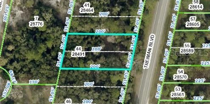 Land in Webster, Florida № 1306673