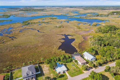 Villa ou maison à vendre à Hernando Beach, Floride: 3 chambres, 115.38 m2 № 1341239 - photo 2