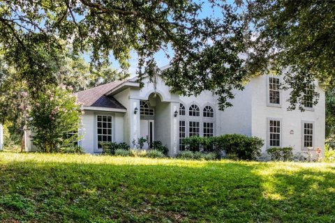 Villa ou maison à vendre à DeLand, Floride: 4 chambres, 260.03 m2 № 1336238 - photo 1