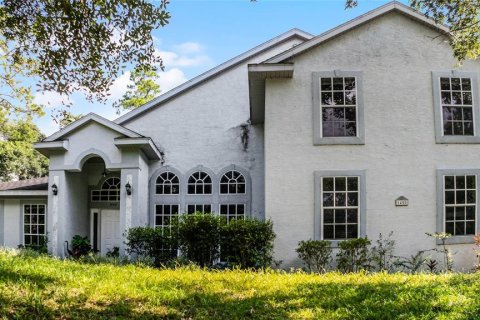 Villa ou maison à vendre à DeLand, Floride: 4 chambres, 260.03 m2 № 1336238 - photo 2