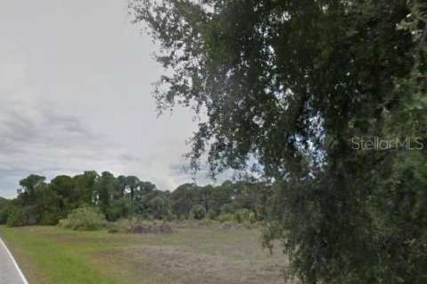 Land in Rotonda, Florida № 1032289 - photo 2