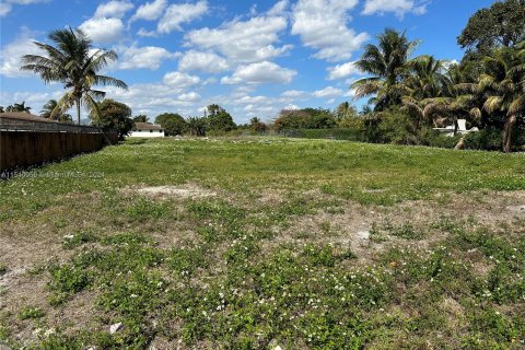 Land in Miami, Florida № 1031351 - photo 1