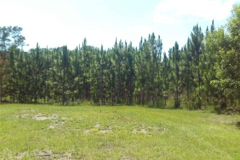 Terreno en venta en Chiefland, Florida № 1250432 - foto 4