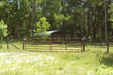 Land in Chiefland, Florida № 1250432 - photo 14