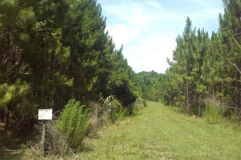 Land in Chiefland, Florida № 1250432 - photo 16