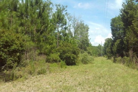 Terreno en venta en Chiefland, Florida № 1250432 - foto 7