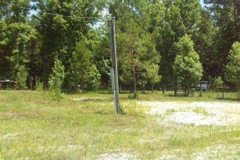 Terreno en venta en Chiefland, Florida № 1250432 - foto 12