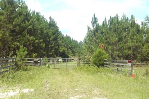 Terreno en venta en Chiefland, Florida № 1250432 - foto 1