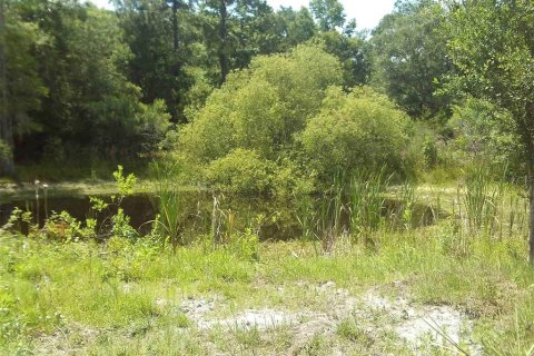 Terreno en venta en Chiefland, Florida № 1250432 - foto 10