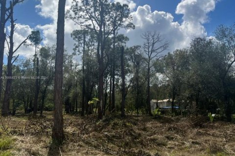 Land in Clewiston, Florida № 1381585 - photo 3