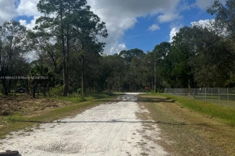 Land in Clewiston, Florida № 1381585 - photo 2