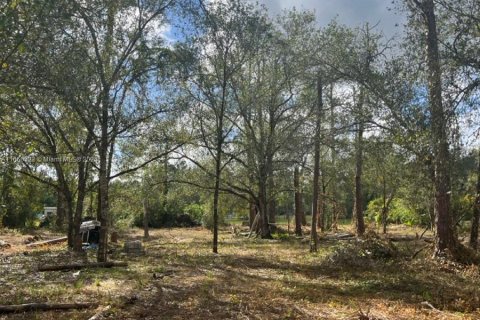 Land in Clewiston, Florida № 1381585 - photo 7