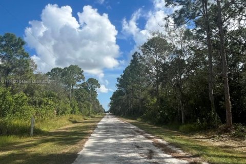 Land in Clewiston, Florida № 1381585 - photo 6