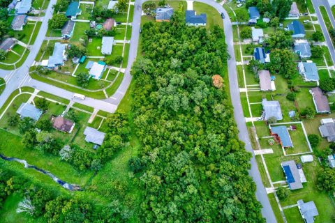 Land in Deltona, Florida № 1337610 - photo 10