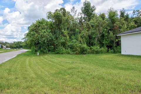 Land in Deltona, Florida № 1337610 - photo 2