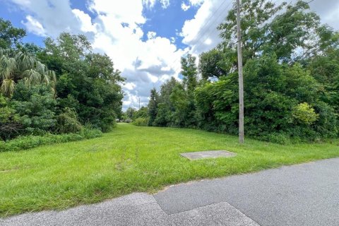 Land in Deltona, Florida № 1337610 - photo 3