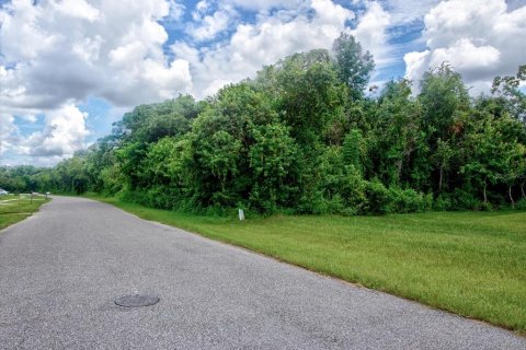 Land in Deltona, Florida № 1337610 - photo 6