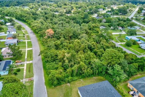 Land in Deltona, Florida № 1337610 - photo 13