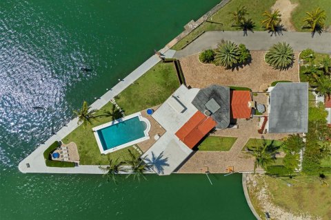 Villa ou maison à vendre à Miami, Floride: 5 chambres, 481.61 m2 № 1220617 - photo 5