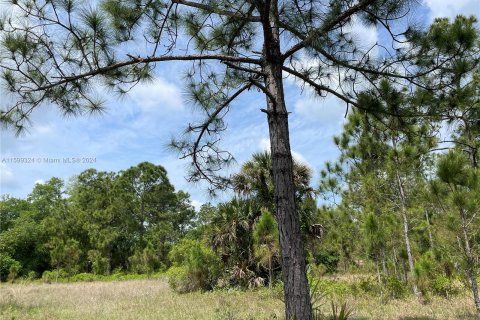 Villa ou maison à vendre à Clewiston, Floride: 4 chambres, 247.86 m2 № 1209058 - photo 29