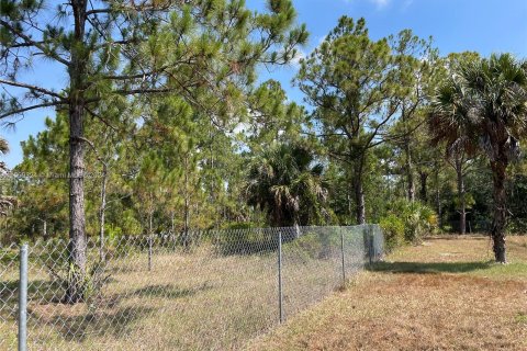 Villa ou maison à vendre à Clewiston, Floride: 4 chambres, 247.86 m2 № 1209058 - photo 19