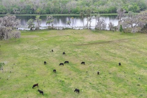 Land in DeLand, Florida № 1193002 - photo 14