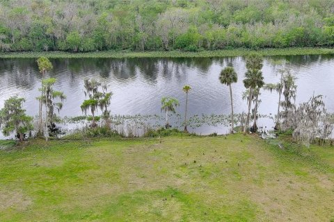 Land in DeLand, Florida № 1193002 - photo 7