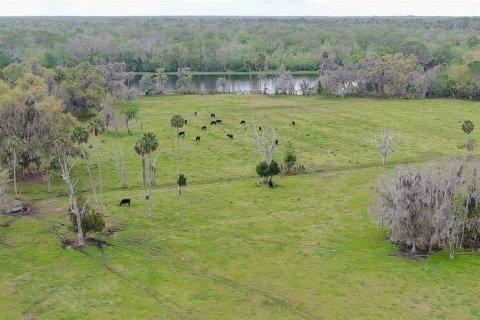 Terrain à vendre à DeLand, Floride № 1193002 - photo 6