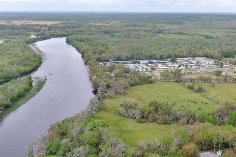 Land in DeLand, Florida № 1193004 - photo 11