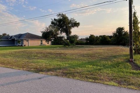 Terrain à vendre à Punta Gorda, Floride № 1323445 - photo 6