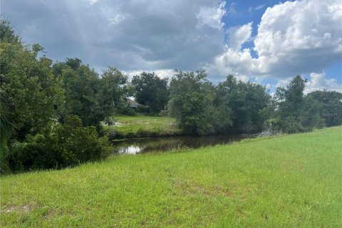 Terrain à vendre à Punta Gorda, Floride № 1323445 - photo 4