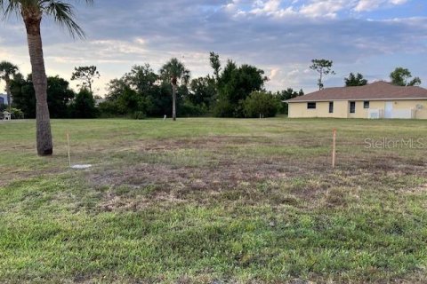 Terrain à vendre à Punta Gorda, Floride № 1323443 - photo 4