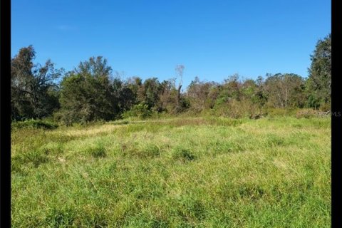 Terreno en venta en Parrish, Florida № 1406506 - foto 1