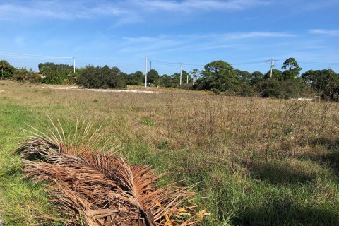 Land in Hobe Sound, Florida № 1171278 - photo 14