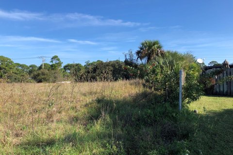 Land in Hobe Sound, Florida № 1171278 - photo 9