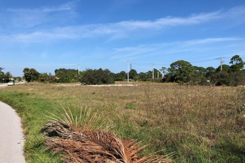 Land in Hobe Sound, Florida № 1171278 - photo 5