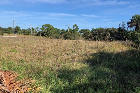 Land in Hobe Sound, Florida № 1171278 - photo 13