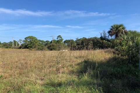 Land in Hobe Sound, Florida № 1171278 - photo 7